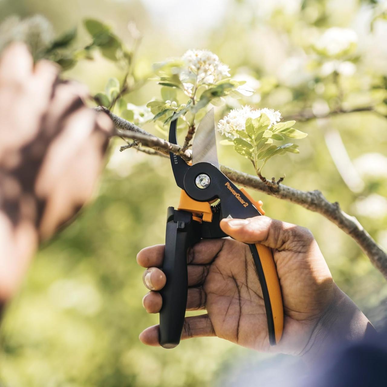 Pruning shears pruners bypass sheath hardened aluminum forged holster fiskars trimmer Choosing the Best Pruning Shears for Healthier Plants