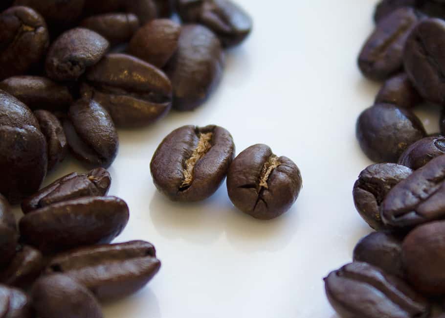 Arabica vs Robusta Coffee What You Need to Know