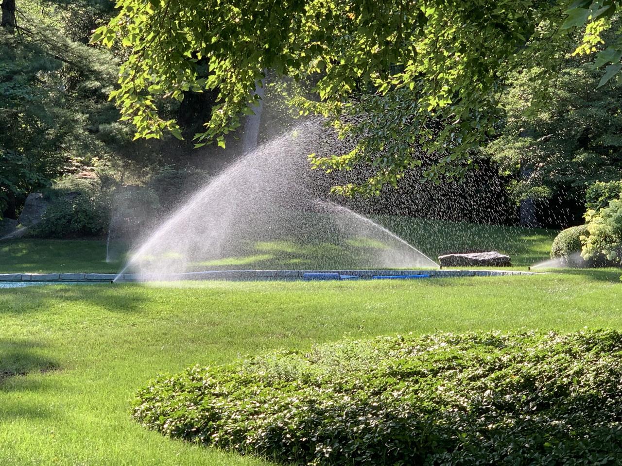 Smart Sprinkler Systems to Keep Your Garden Thriving