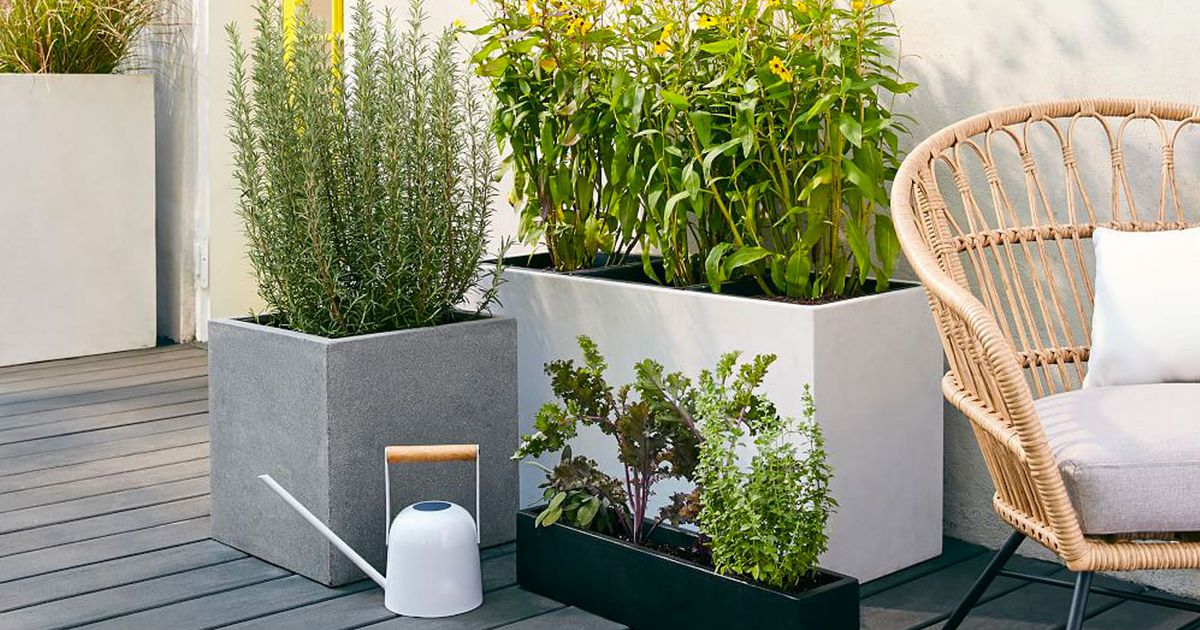 How to Choose the Right Planters for Your Outdoor Space