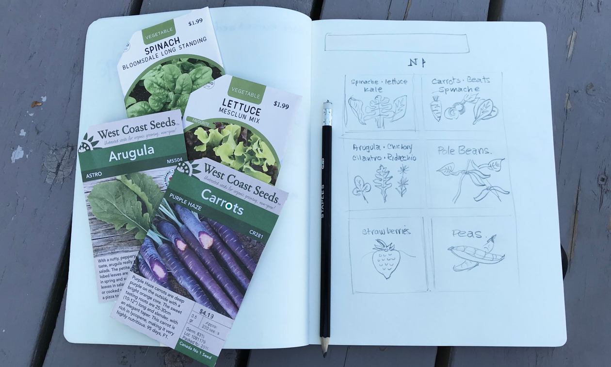 Gardening 101: How to choose the best seeds for your garden | RVwest How to Choose Quality Seeds for Your Vegetable Garden
