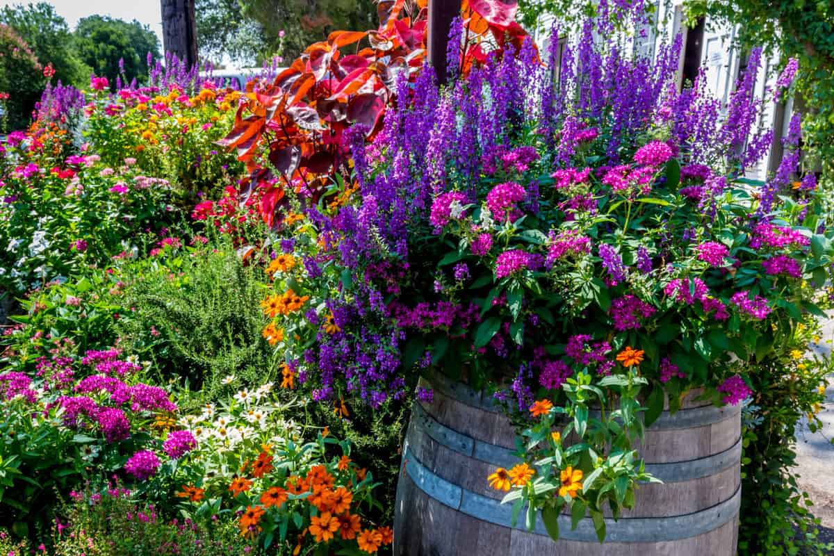 Gardening Pots and Planters That Boost Plant Growth
