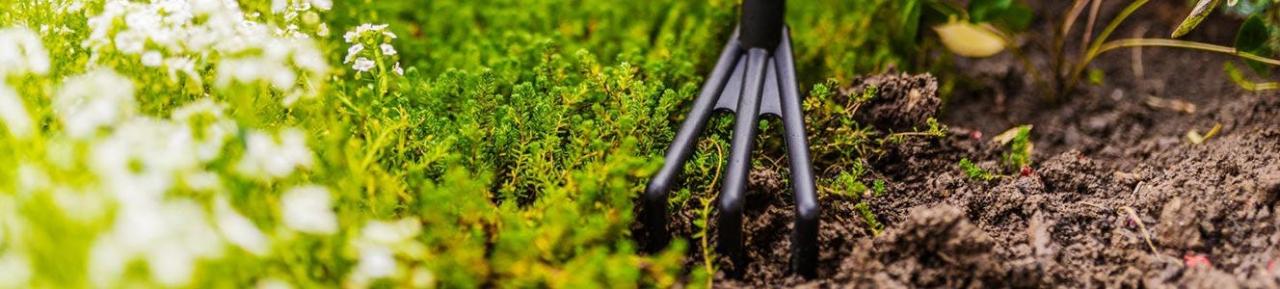 Spring Gardening: All Our Guides to the Best Gardening Products Essential Gardening Supplies for Spring
