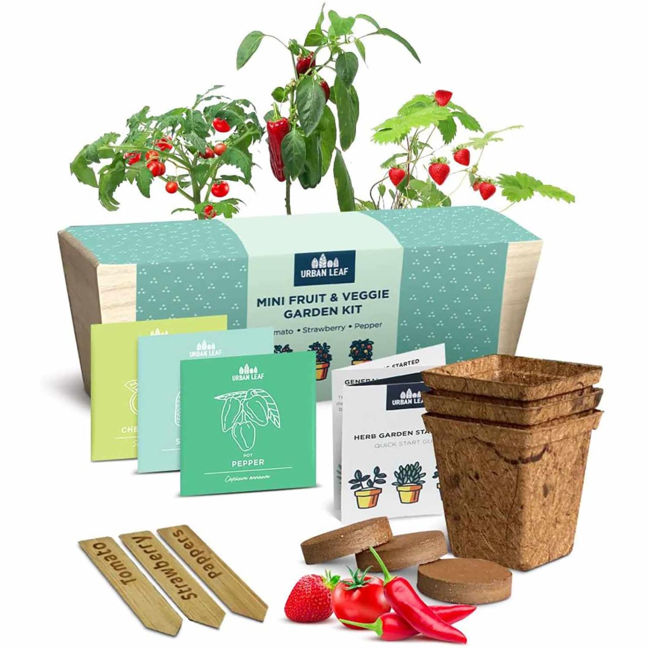 Indoor Herb Garden Kits for Fresh Kitchen Herbs | Family Food Garden Popular Indoor Gardening Kits to Grow Herbs at Home