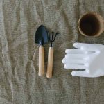 Must-Have Gardening Tools for Every Gardener
