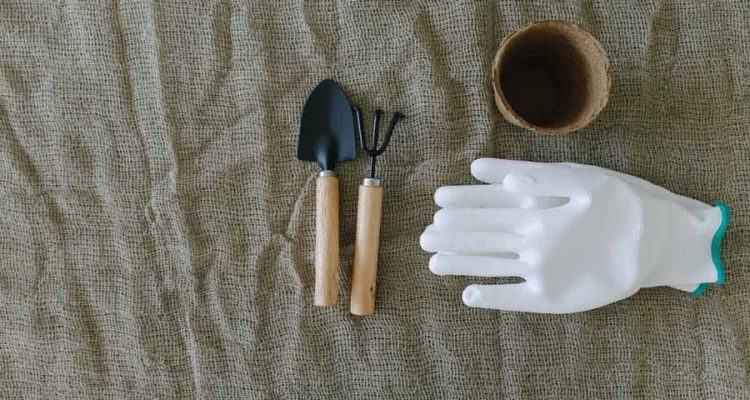 Must-Have Gardening Tools for Every Gardener