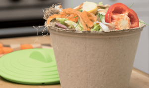 Eco-Friendly Compost Bins for Sustainable Gardening