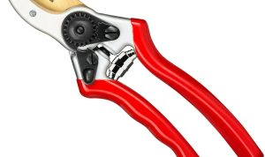 How to Pick the Perfect Garden Shears for Your Needs