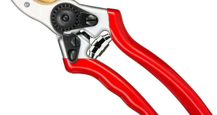 How to Pick the Perfect Garden Shears for Your Needs