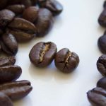 Arabica vs Robusta Coffee What You Need to Know