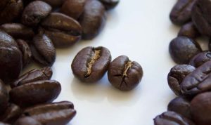 Arabica vs Robusta Coffee What You Need to Know