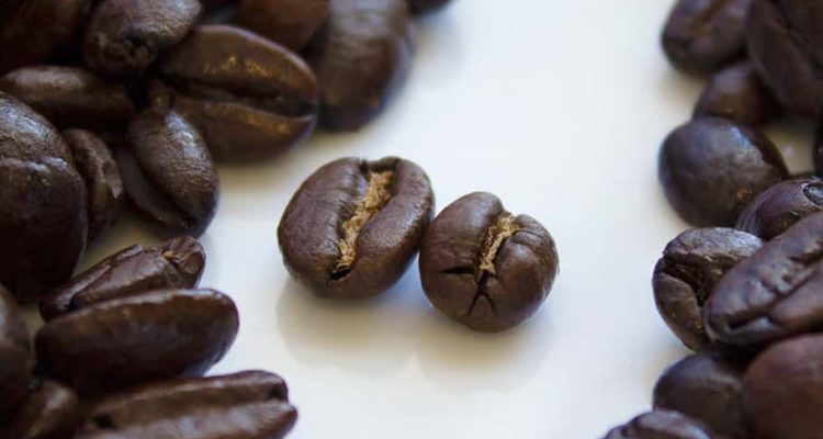 Arabica vs Robusta Coffee What You Need to Know