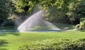 Smart Sprinkler Systems to Keep Your Garden Thriving