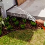 Top 10 Must-Have Garden Hoses for Effortless Watering