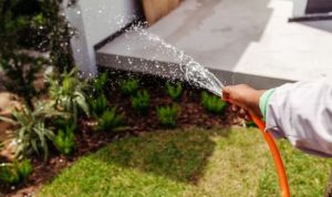 Top 10 Must-Have Garden Hoses for Effortless Watering