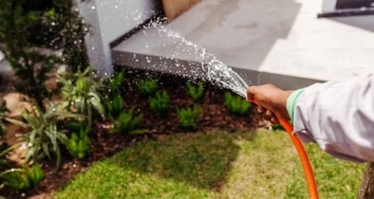 Top 10 Must-Have Garden Hoses for Effortless Watering