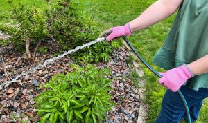 Top Rated Garden Hoses to Water Your Plants with Ease