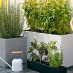 How to Choose the Right Planters for Your Outdoor Space