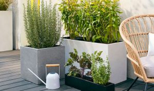 How to Choose the Right Planters for Your Outdoor Space