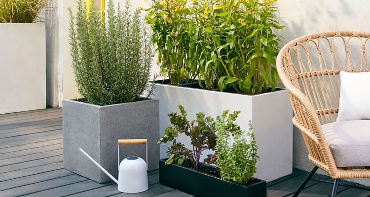 How to Choose the Right Planters for Your Outdoor Space