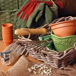 Essential Gardening Supplies for Spring Unleash Blooming Beauty