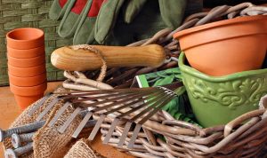 Essential Gardening Supplies for Spring Unleash Blooming Beauty
