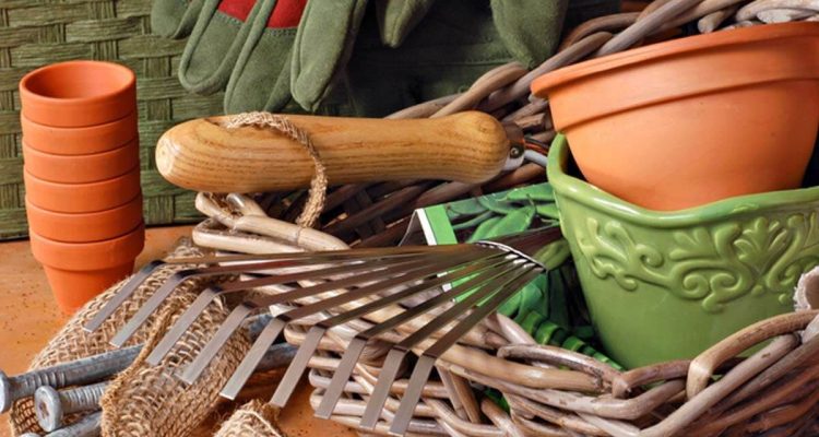 Essential Gardening Supplies for Spring Unleash Blooming Beauty
