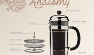 The Ultimate Guide to French Press Coffee Unveiled