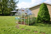 Top Greenhouse Kits for Year-Round Gardening