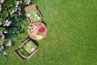 How to Select the Best Garden Fertilizer for Thriving Plants