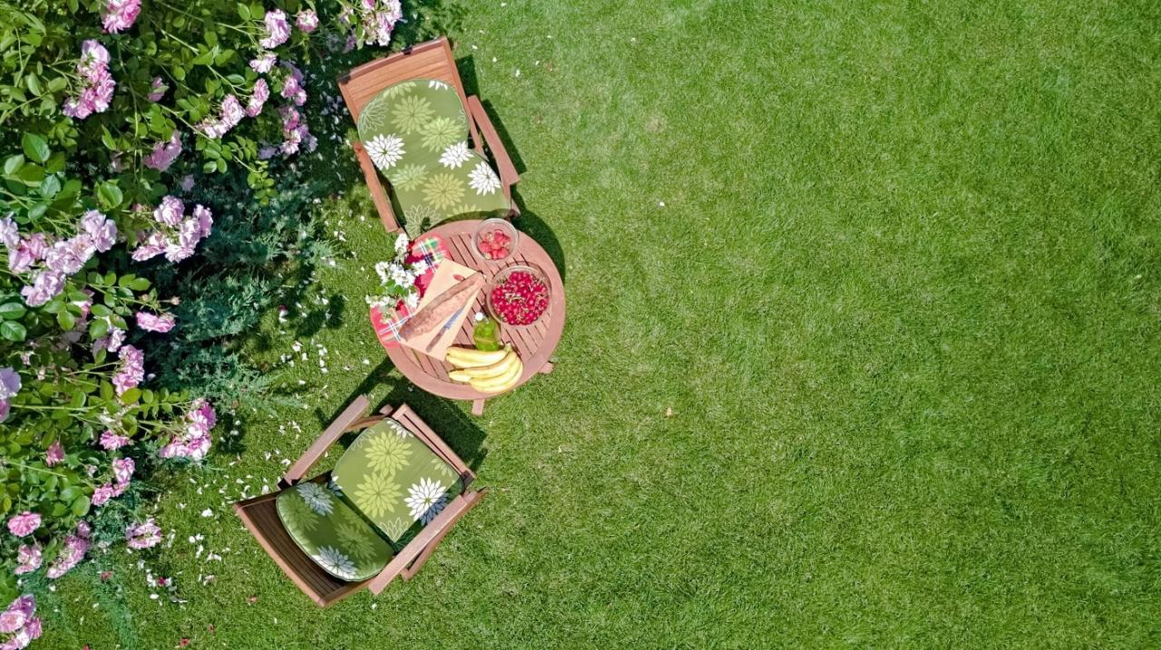 How to Select the Best Garden Fertilizer for Thriving Plants