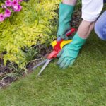 How to Maintain Your Lawn with the Right Equipment