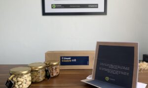 Video Animation Software for Marketing Campaigns