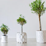 Gardening Pots and Planters That Boost Plant Growth