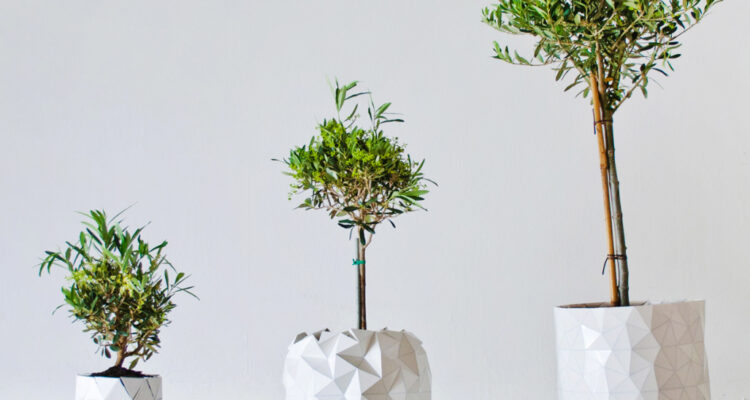 Gardening Pots and Planters That Boost Plant Growth