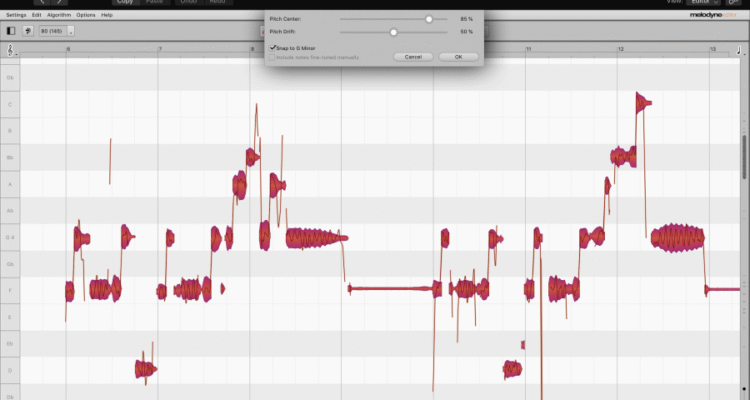 Vocal Editing Tools with Pitch Correction Features