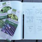 How to Choose Quality Seeds for Your Vegetable Garden Essentials