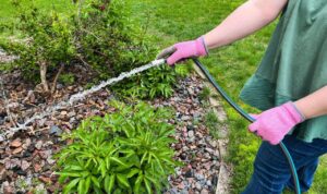 Top Rated Garden Hoses to Water Your Plants