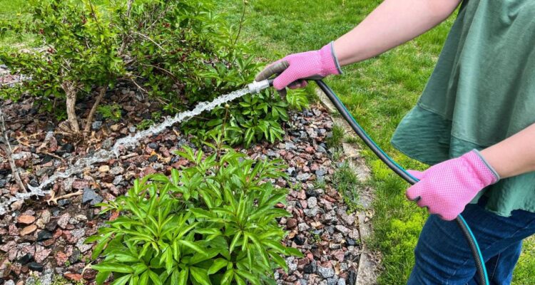 Top Rated Garden Hoses to Water Your Plants