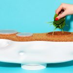 Best Compost Bins for Home Gardeners