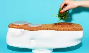 Best Compost Bins for Home Gardeners