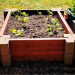 How to Use Raised Garden Beds for Better Harvests