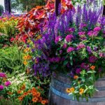 Gardening Pots and Planters That Boost Plant Growth