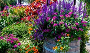 Gardening Pots and Planters That Boost Plant Growth