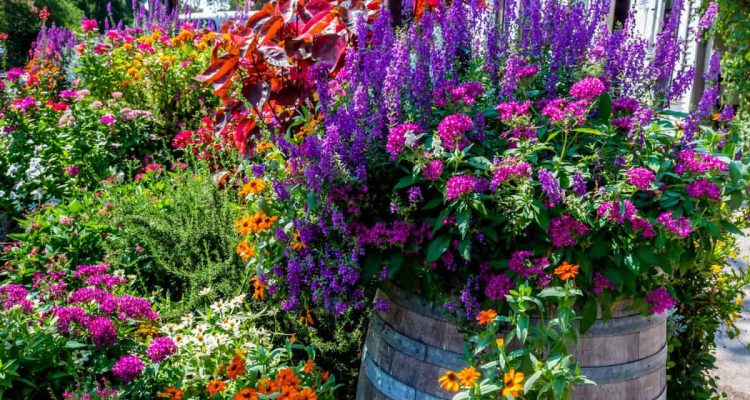 Gardening Pots and Planters That Boost Plant Growth