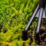 Essential Gardening Supplies for Spring Must-Haves