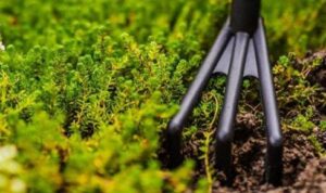 Essential Gardening Supplies for Spring Must-Haves