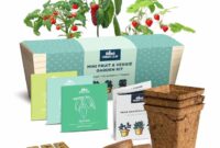Popular Indoor Gardening Kits to Grow Herbs at Home