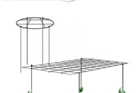 How to Use Plant Supports to Improve Growth Effectively
