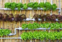 Essential Garden Products for Urban Gardeners